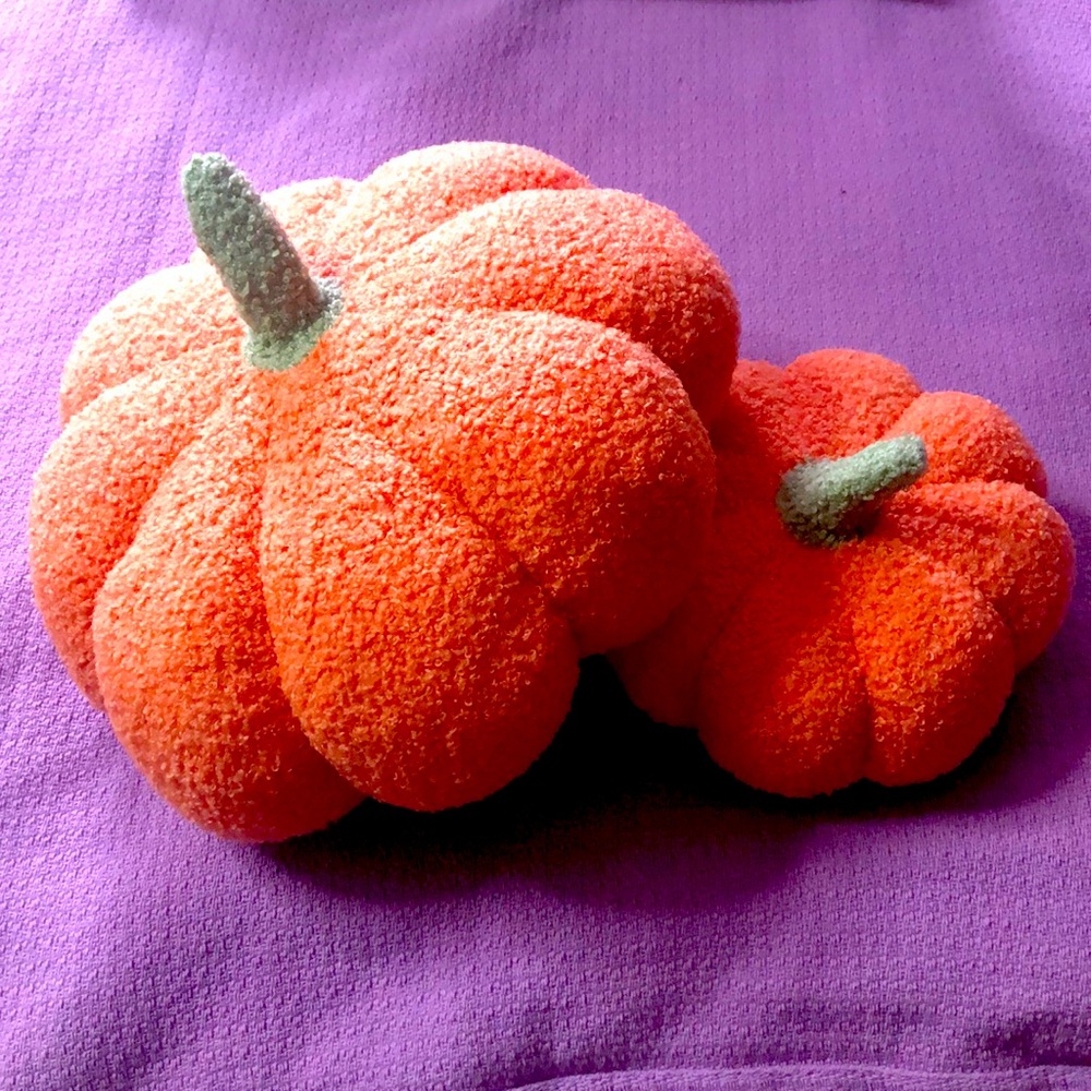 One medium sized, and one small stuffed pumpkin.